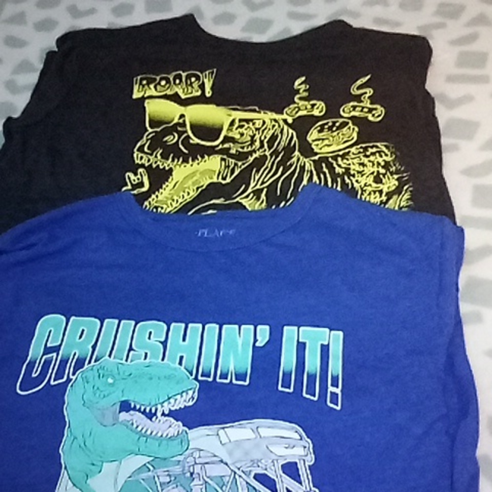 The Children's Place XL (14) Boy's Graphic Dinosaur Short Sleeve T-Shirts Bundle